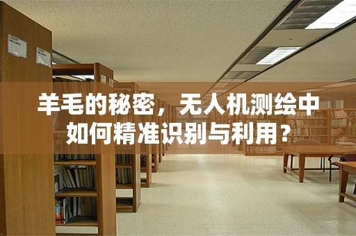 羊毛的秘密，无人机测绘中如何精准识别与利用？