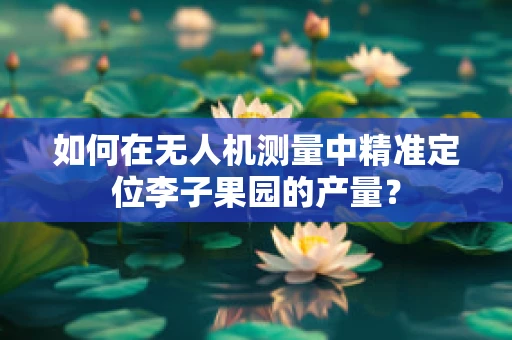 如何在无人机测量中精准定位李子果园的产量？