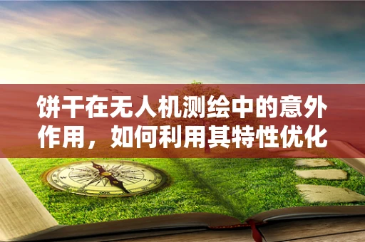 饼干在无人机测绘中的意外作用，如何利用其特性优化飞行稳定性？