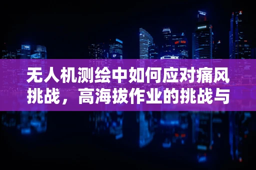 无人机测绘中如何应对痛风挑战，高海拔作业的挑战与解决方案