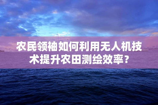 农民领袖如何利用无人机技术提升农田测绘效率？