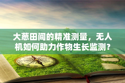 大葱田间的精准测量，无人机如何助力作物生长监测？