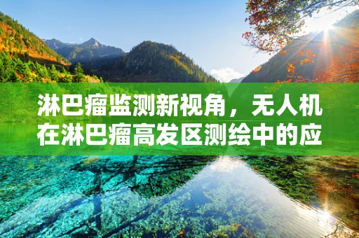 淋巴瘤监测新视角，无人机在淋巴瘤高发区测绘中的应用挑战