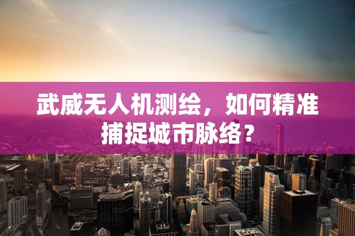 武威无人机测绘，如何精准捕捉城市脉络？