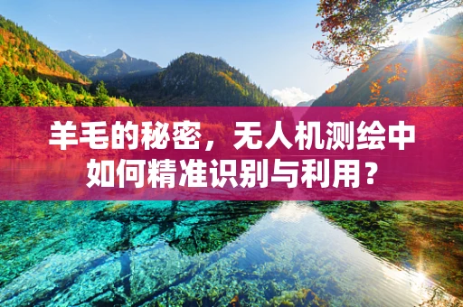 羊毛的秘密，无人机测绘中如何精准识别与利用？