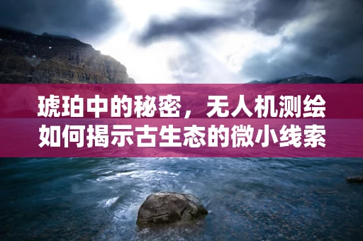 琥珀中的秘密，无人机测绘如何揭示古生态的微小线索？