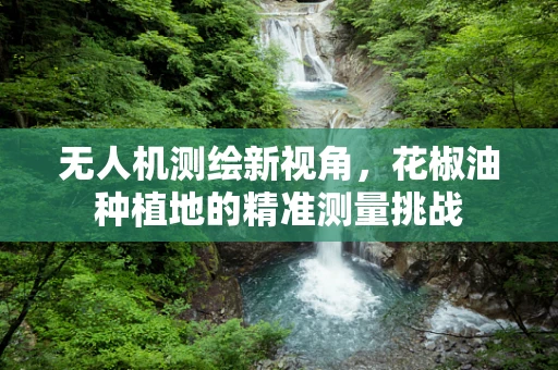 无人机测绘新视角，花椒油种植地的精准测量挑战