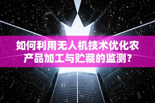 如何利用无人机技术优化农产品加工与贮藏的监测？