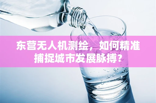 东营无人机测绘，如何精准捕捉城市发展脉搏？