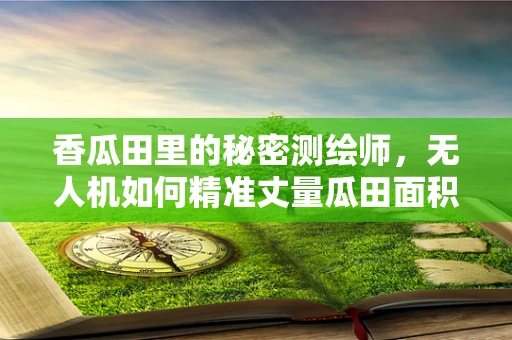 香瓜田里的秘密测绘师，无人机如何精准丈量瓜田面积？