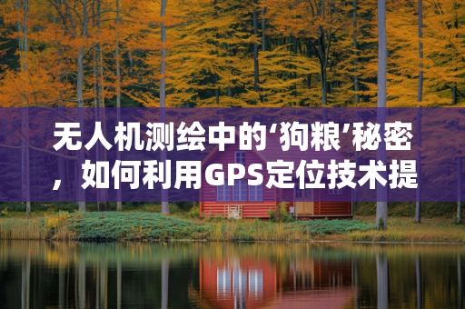 无人机测绘中的‘狗粮’秘密，如何利用GPS定位技术提升测量精度？