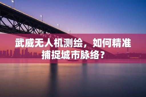 武威无人机测绘，如何精准捕捉城市脉络？