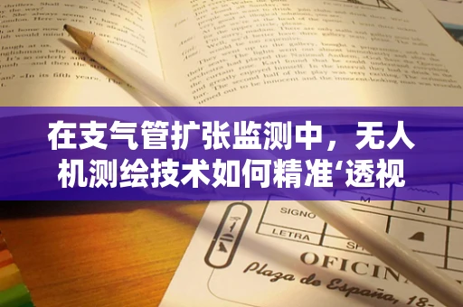 在支气管扩张监测中，无人机测绘技术如何精准‘透视’病情？