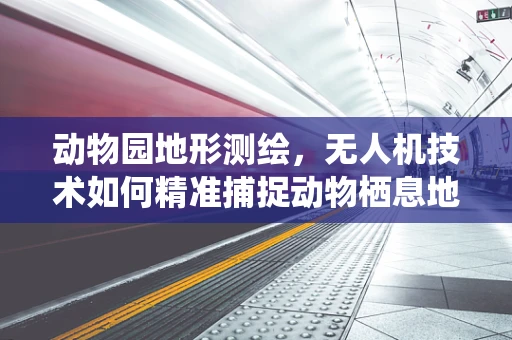 动物园地形测绘，无人机技术如何精准捕捉动物栖息地的细节？