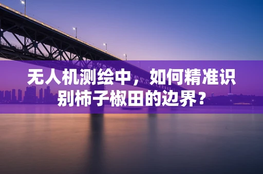 无人机测绘中，如何精准识别柿子椒田的边界？