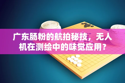 广东肠粉的航拍秘技，无人机在测绘中的味觉应用？