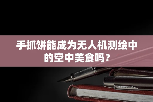 手抓饼能成为无人机测绘中的空中美食吗？