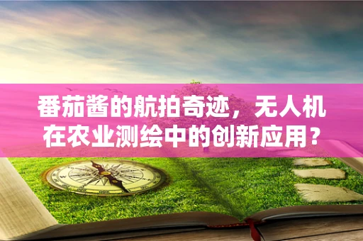 番茄酱的航拍奇迹，无人机在农业测绘中的创新应用？