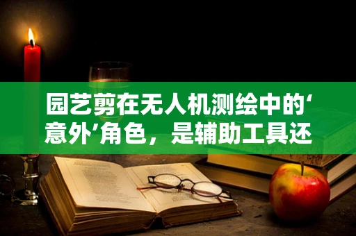 园艺剪在无人机测绘中的‘意外’角色，是辅助工具还是多余负担？