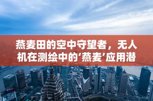 燕麦田的空中守望者，无人机在测绘中的‘燕麦’应用潜力