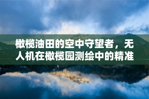 橄榄油田的空中守望者，无人机在橄榄园测绘中的精准测量挑战