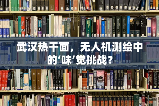 武汉热干面，无人机测绘中的‘味’觉挑战？