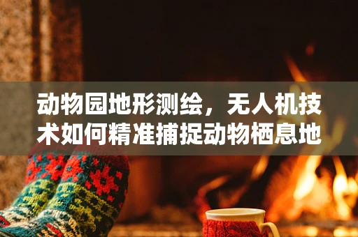 动物园地形测绘，无人机技术如何精准捕捉动物栖息地的细节？