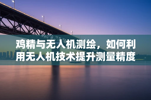 鸡精与无人机测绘，如何利用无人机技术提升测量精度？