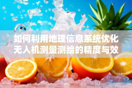 如何利用地理信息系统优化无人机测量测绘的精度与效率？