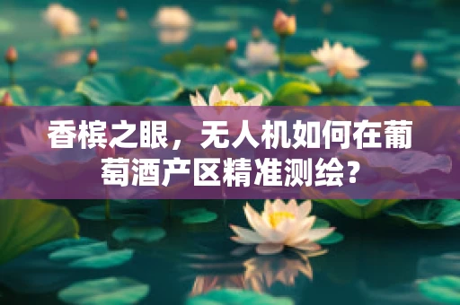 香槟之眼，无人机如何在葡萄酒产区精准测绘？