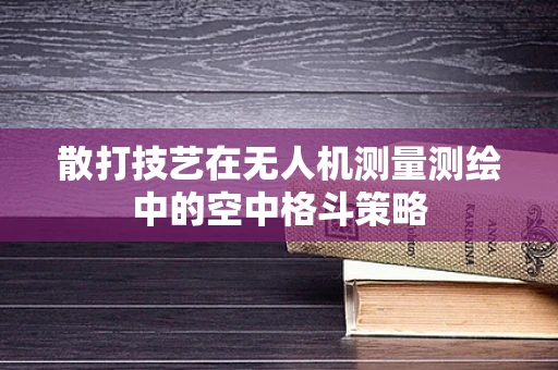 散打技艺在无人机测量测绘中的空中格斗策略