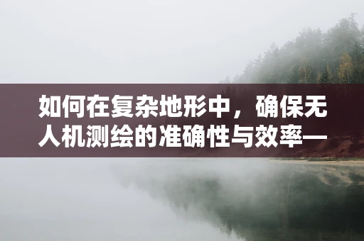 如何在复杂地形中，确保无人机测绘的准确性与效率——商人的视角？