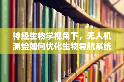 神经生物学视角下，无人机测绘如何优化生物导航系统的模拟？