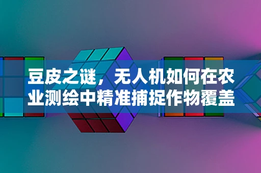 豆皮之谜，无人机如何在农业测绘中精准捕捉作物覆盖层？