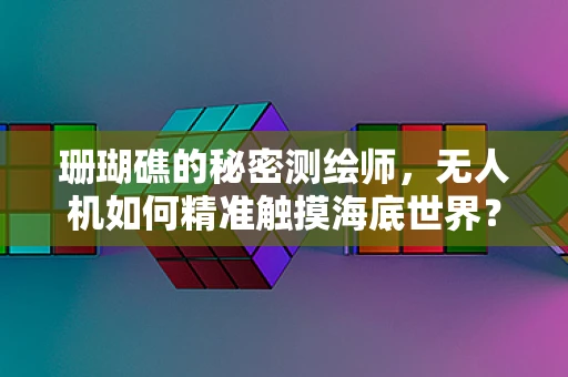 珊瑚礁的秘密测绘师，无人机如何精准触摸海底世界？