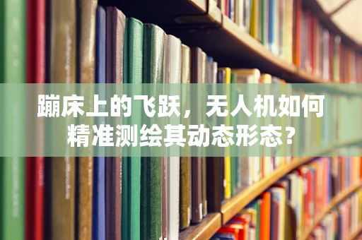 蹦床上的飞跃，无人机如何精准测绘其动态形态？