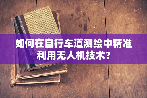 如何在自行车道测绘中精准利用无人机技术？