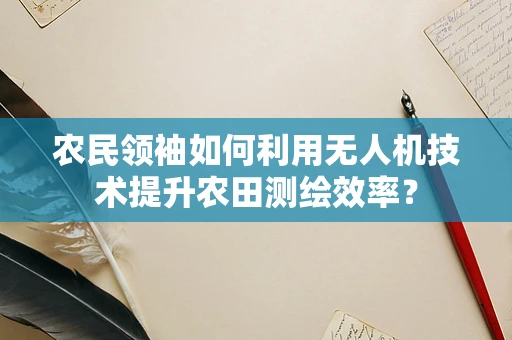 农民领袖如何利用无人机技术提升农田测绘效率？