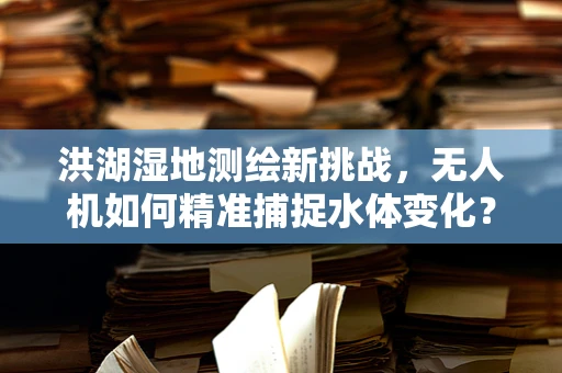 洪湖湿地测绘新挑战，无人机如何精准捕捉水体变化？