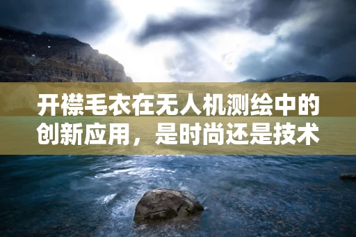 开襟毛衣在无人机测绘中的创新应用，是时尚还是技术革新？