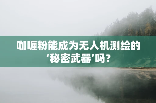 咖喱粉能成为无人机测绘的‘秘密武器’吗？