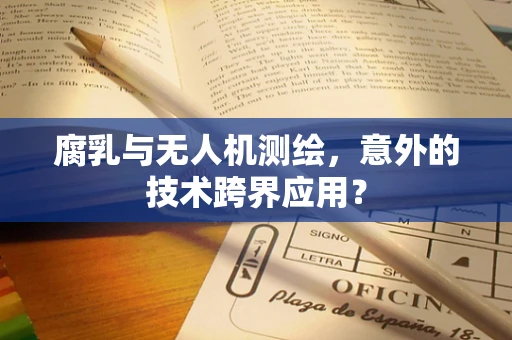 腐乳与无人机测绘，意外的技术跨界应用？