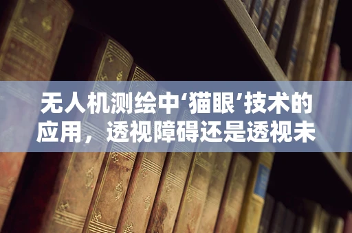 无人机测绘中‘猫眼’技术的应用，透视障碍还是透视未来？