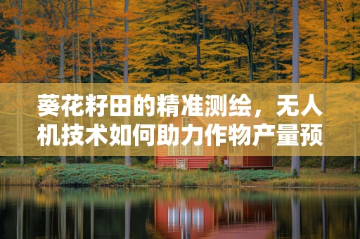 葵花籽田的精准测绘，无人机技术如何助力作物产量预测？