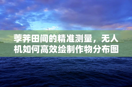 荸荠田间的精准测量，无人机如何高效绘制作物分布图？