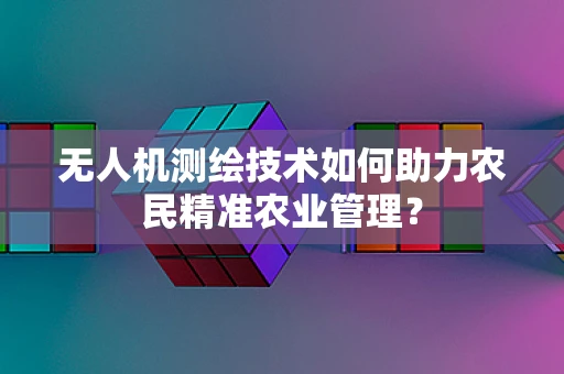 无人机测绘技术如何助力农民精准农业管理？