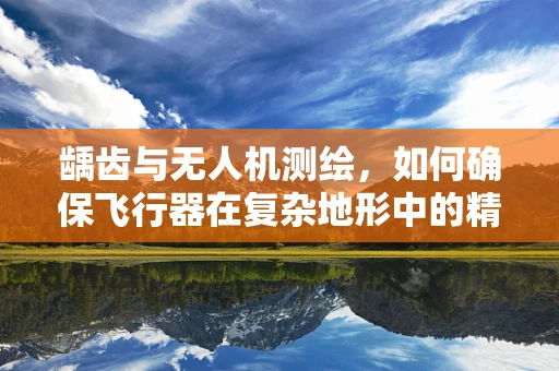 龋齿与无人机测绘，如何确保飞行器在复杂地形中的精准定位？