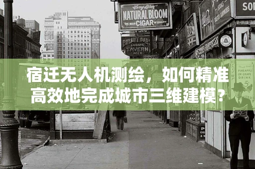 宿迁无人机测绘，如何精准高效地完成城市三维建模？