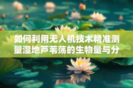 如何利用无人机技术精准测量湿地芦苇荡的生物量与分布？