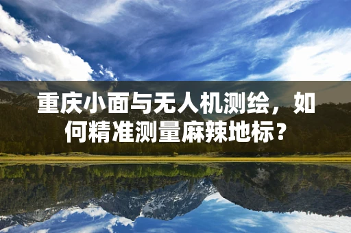 重庆小面与无人机测绘，如何精准测量麻辣地标？